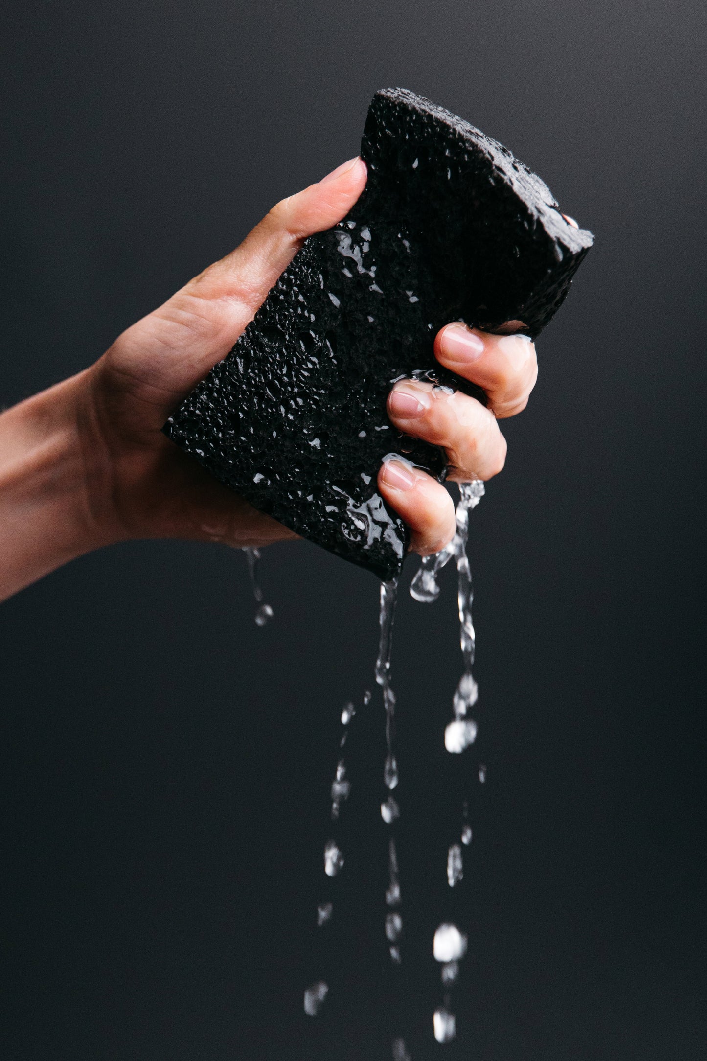 Black Pop-Up Kitchen Sponges